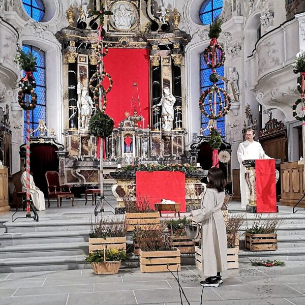 Adrian Wicki segnet die Palmen und die Leute.