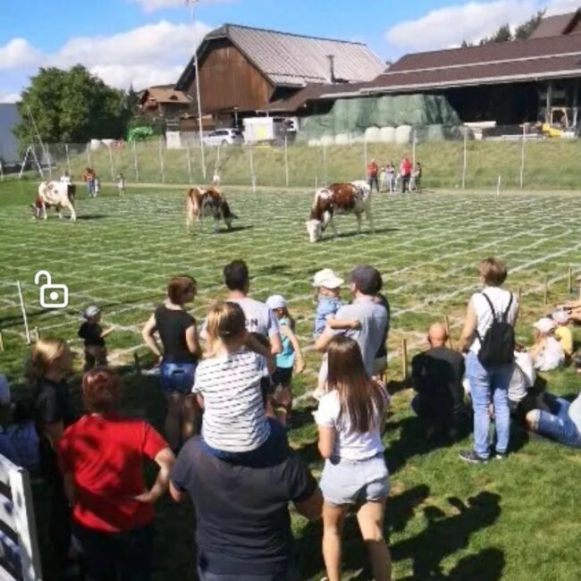 Spannendes Kuhfladenbingo an der Kilbi Rüediswil