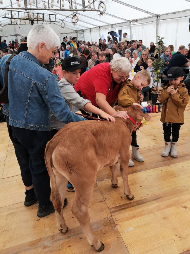 Ortsmusik Rüediswil: Gewinnerin des Kuhkalbs Bingo an der Kilbi 2023 in Rüediswil