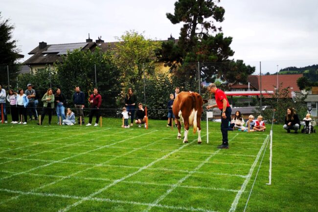 Das Kuhfladenbingo wird jeweils von der Ortsmusik Rüediswil auf dem Schulhaus Rasen organisiert
