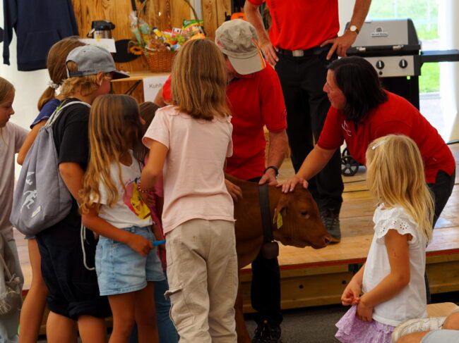 Wie jedes Jahr geht das Kuhkalb Bingo ins Festzelt der Chilbi Rüediswil.