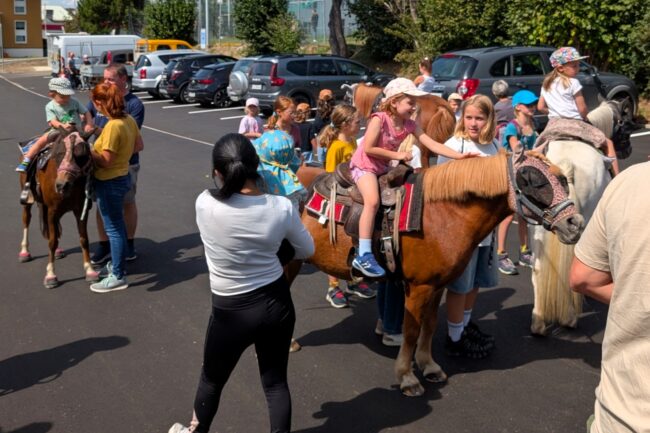 An der Kilbi Rüediswil 2026 gab es wieder das beliebte Ponyreiten von Eva Aregger.