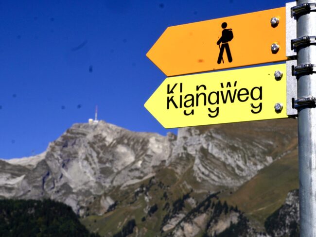 Auf der Vereinsreise der Ortsmusik Rüediswil begab sich der Verein auf den Klangweg.